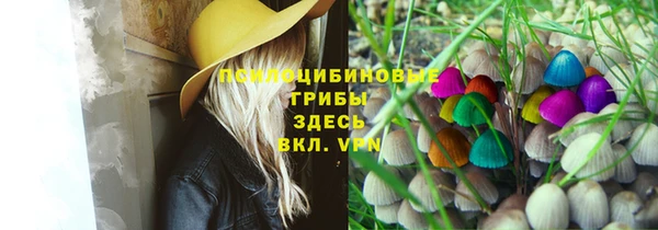 соль ск Нефтекумск