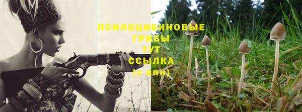 соль ск Нефтекумск
