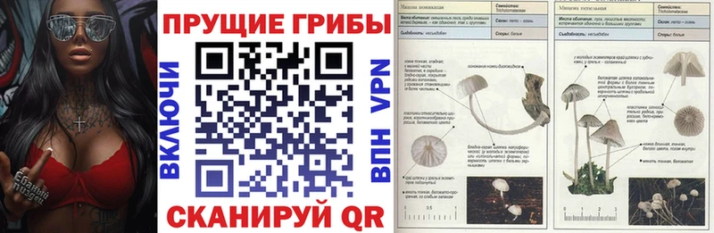 цена наркотик  даркнет наркотические препараты  Псилоцибиновые грибы Psilocybe  Мытищи 