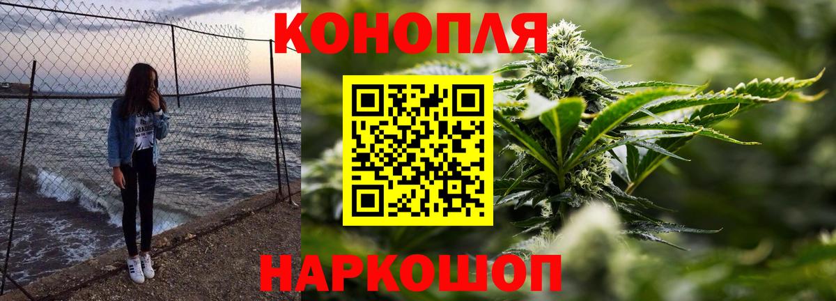 Мытищи  Конопля планчик  Вход с VPN  Бошки Шишки THC 21%  Бошки Шишки сатива  Конопля THC 21% 